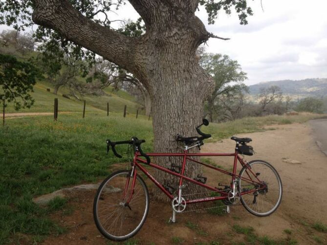 tandem marriage