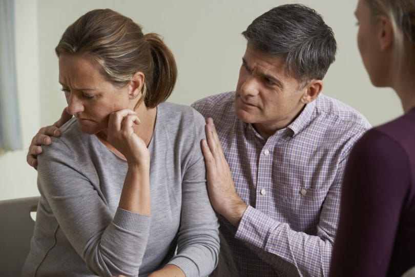 How Emotionally Focused Therapy Can Save And Transform Your Marriage